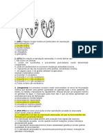 MATHEUS DOS SANTOS CATANI - Lista Reprodução