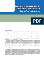Biologia e Importância Do Carrapato Rhipicephalus (Boophilus) Microplus