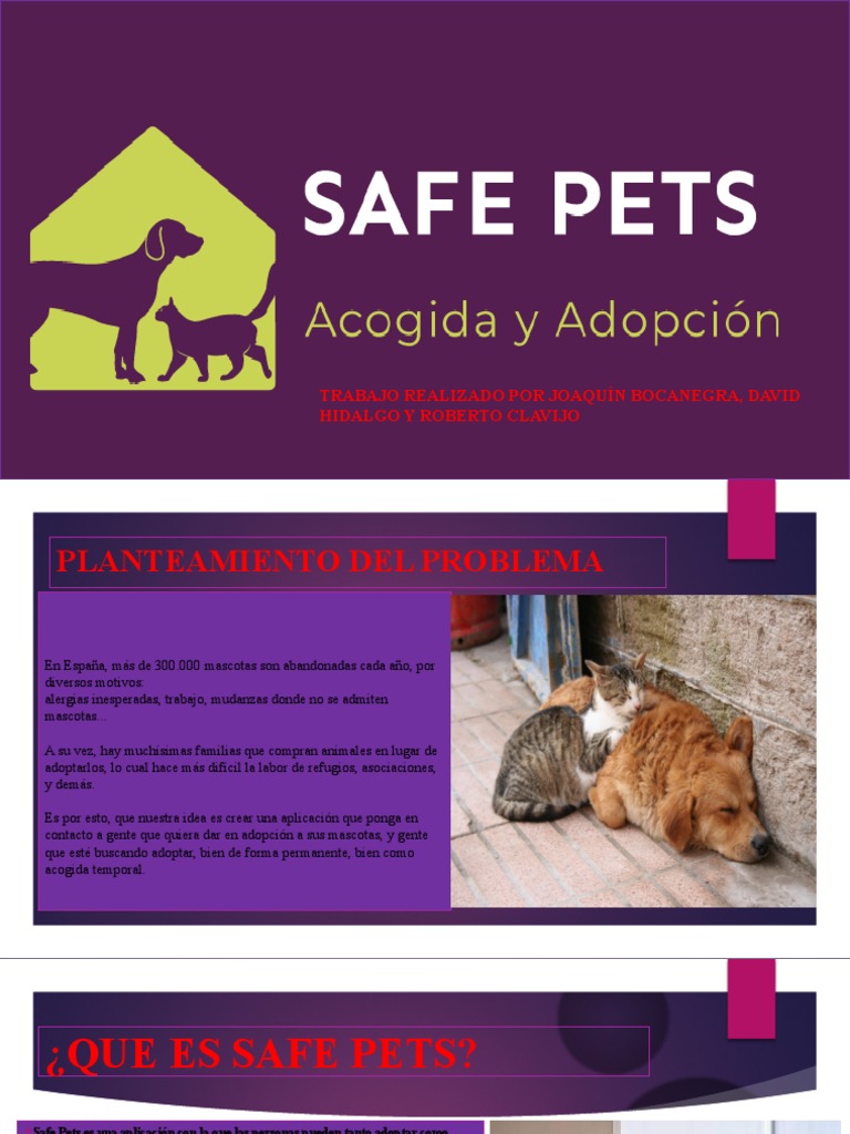 Presentación SAFE PETS PDF