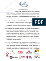 Pronunciamiento Ante Injerencia Del Comité ONU 04.07.23 PDF