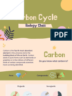 Carbon Cycle