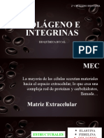 Colageno e Integrinas.