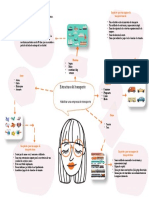 Estructura Del Transporte