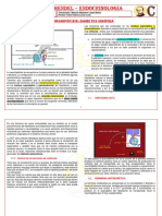 E-4 Neurohipofisis y Diabetes Insipida