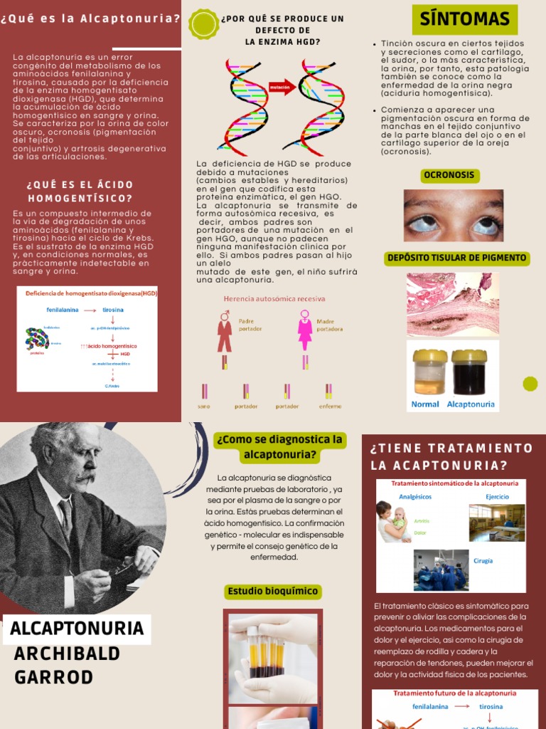 alcaptonuria-causas-y-s-ntomas-pdf