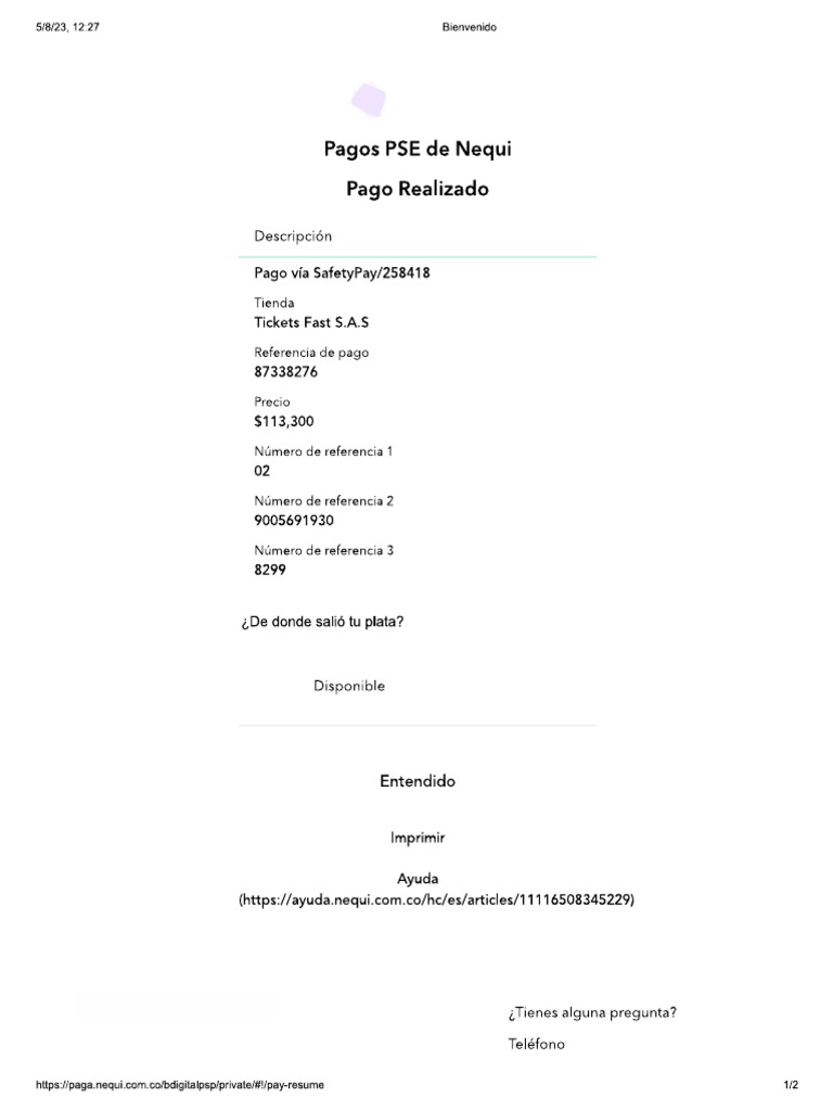 tu boleta PDF