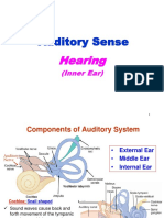 Hearing (Inner Ear)