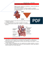 Anatomia Do Coração