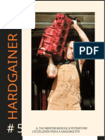 Hardganeir 2 0 Issue 5 Stuart Mcrobert 2021