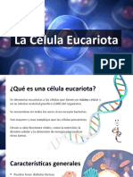 Presentación Células Eucariotas