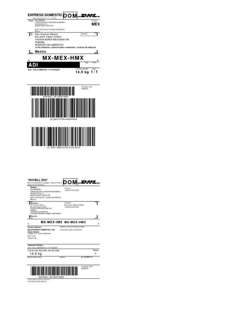 DHL Express Domestic Shipment Details | PDF