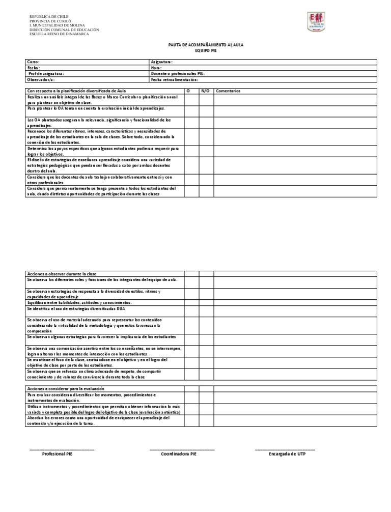 Pauta de Acompañamiento Al Aula PIE | PDF