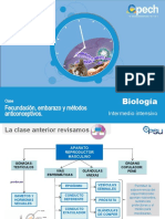 Fecundacion, Embarazos y Metodos Anticonceptivos