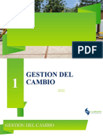 Gestion Del Cambio - Mapa de Procesos