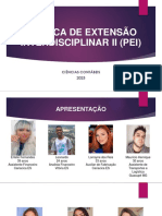 PRÁTICA DE EXTENSÃO INTERDISCIPLINAR II 