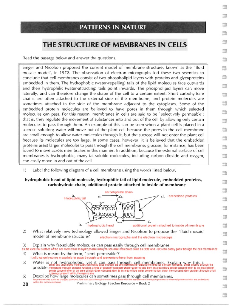 06.the Structure of Membranes in Cells | PDF