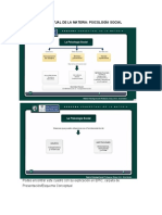 Psico Social Programa y Esquema Conceptual