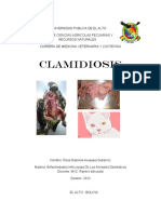 Clamidiosis