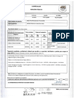 Michele.olmos.alvares.curriculum.version.publica