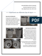 Experimento Con Diferentes Tipos de Agua