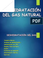 N° 5 Gas Deshidratacion TEG