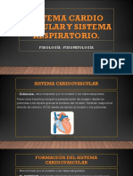 8 Sistema Cardiovascular y Respiratorio