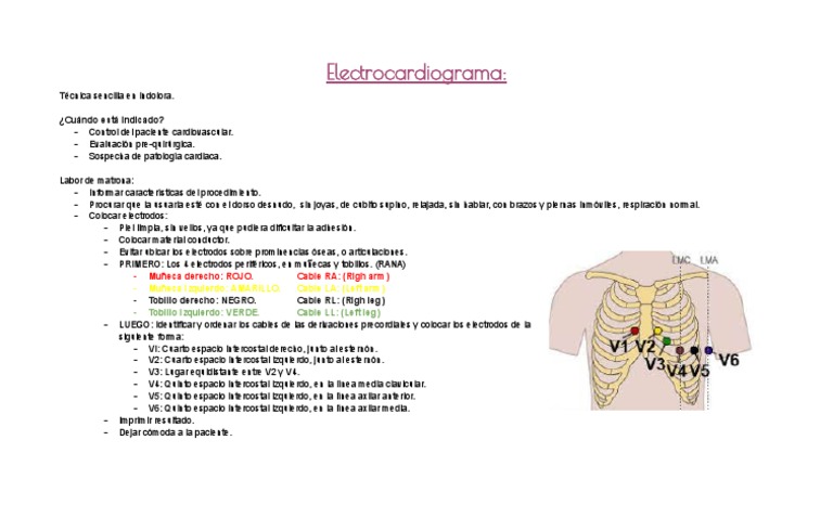 Colocación de electrodos ECG en rana | PDF
