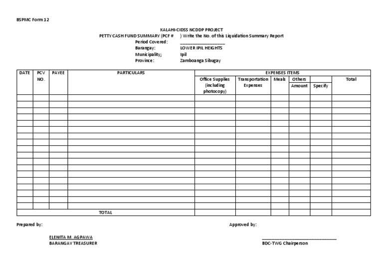 Petty Cash Fund Summary Report | PDF