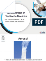 Aerosolterapia en VM