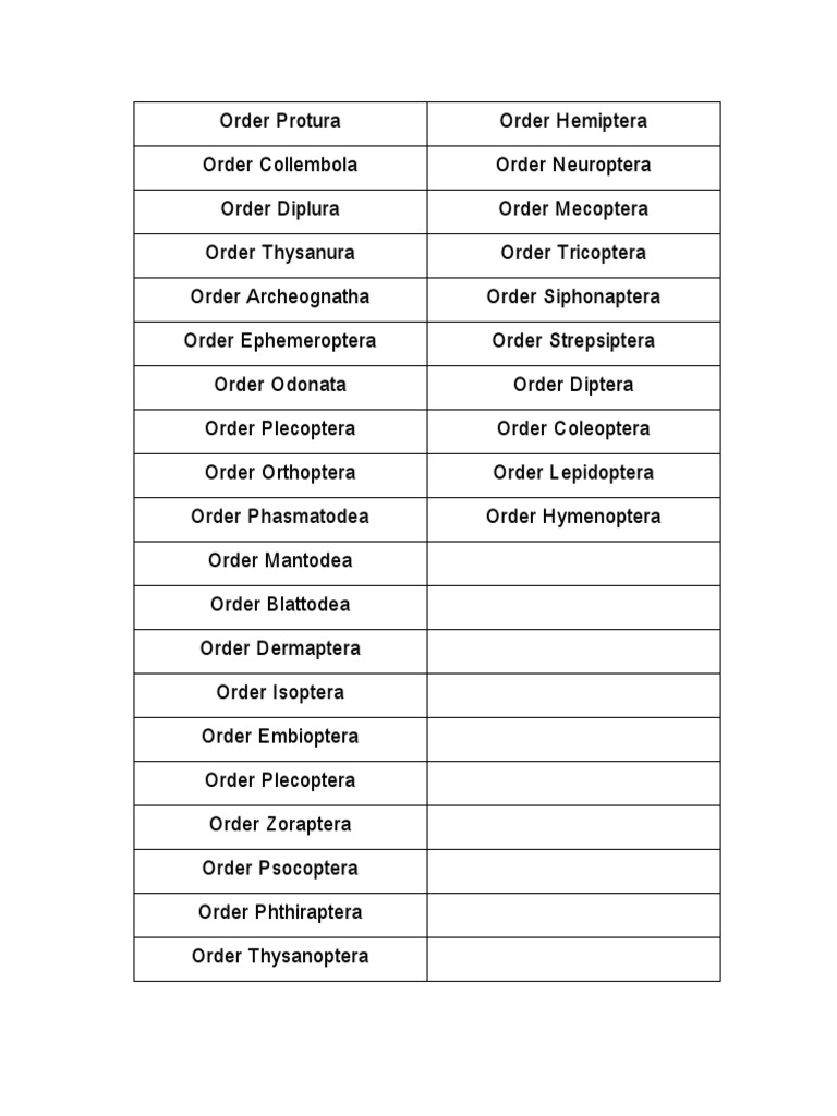 Insect Orders and Families List | PDF | Insects | Insects And Humans
