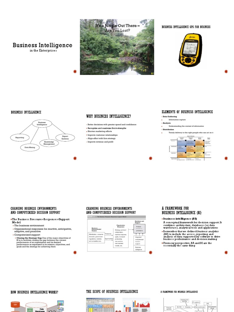 Business Intelligence Strategies for Enterprises | PDF
