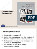 Corporate Risk Management2