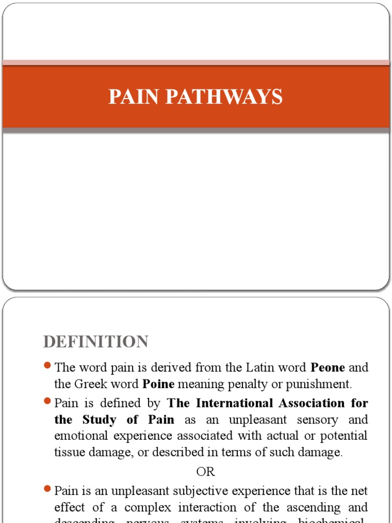 Understanding Pain Pathways and Types | PDF | Pain | Chronic Pain