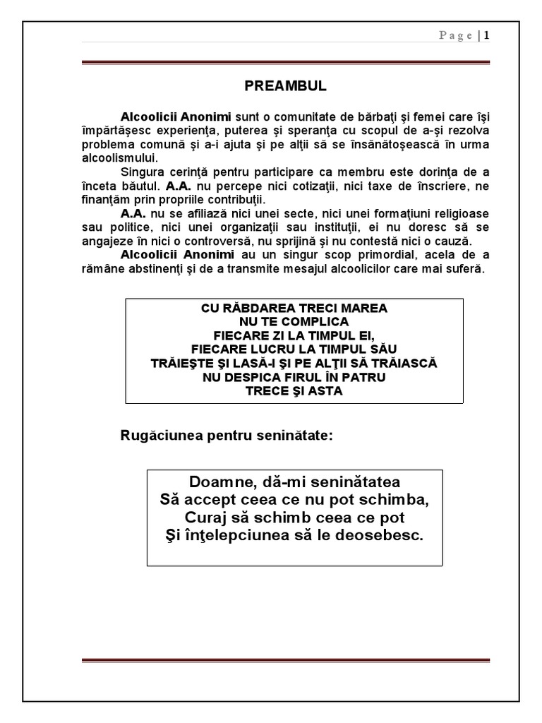 Preambul Cu Antet-13 Pagini-Final | PDF