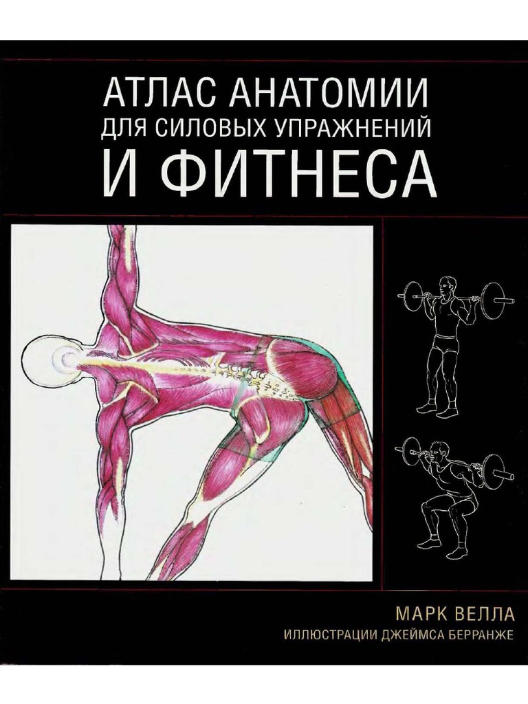 Атлас_анатомии_для_силовых_упражнений_и_фитнеса