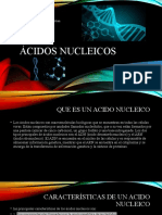 Ácidos Nucleicos