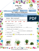 Science Week 10 Worksheet - 1 Final