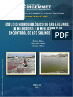 A6867-Estudio Hidrogeologico Lagunas...Salinas de Chilca