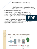 Cellular Differentiation and Totipotency