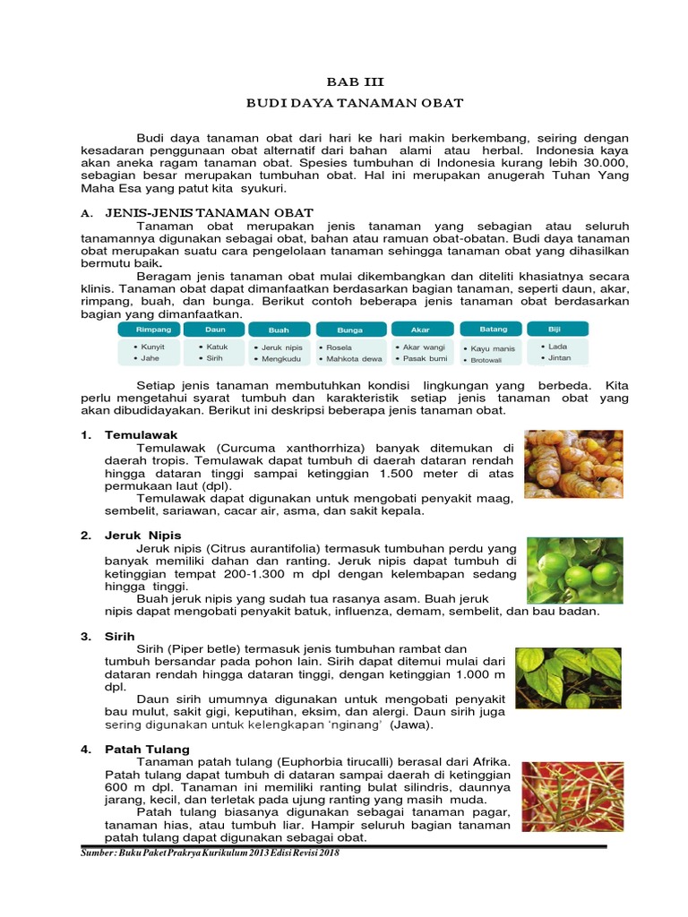A Jenis Jenis Tanaman Obat Pdf