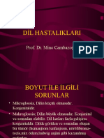 Dil Hastalıkları