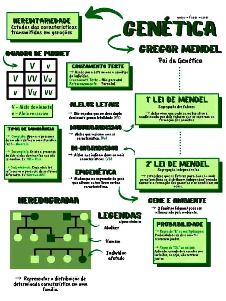 Diagrama Conceitual Genetica - Resumo | PDF | Alelo | Dominância (genética)