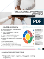 Organisational Effectiveness Assessment Slides