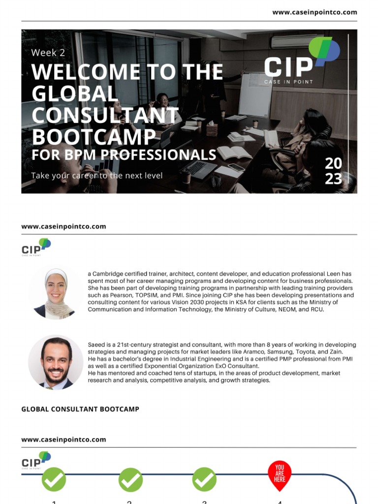 Bootcamp Week 2 - Consulting Presentation Skills-Participants Version | PDF