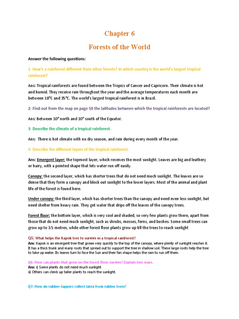 Understanding Tropical Rainforest Layers | PDF | Rainforest | Tropics