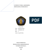 Dinda Eka Ferdiana - 205040200111043 - Kelas AF A - Tutor AF - Review Jurnal