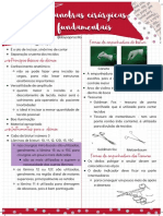 Manobras Cirúrgicas Fundamentais