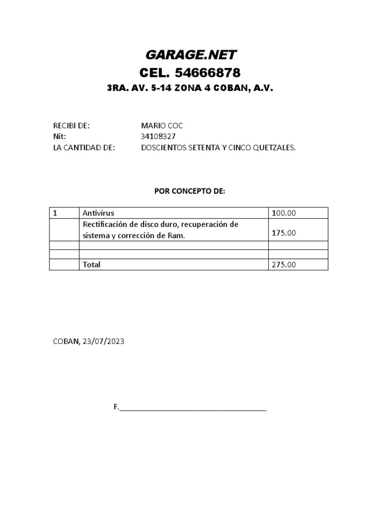 Recibo de Servicios Informáticos | PDF