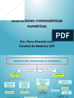 Alteraciones Cromosómicas Numéricas