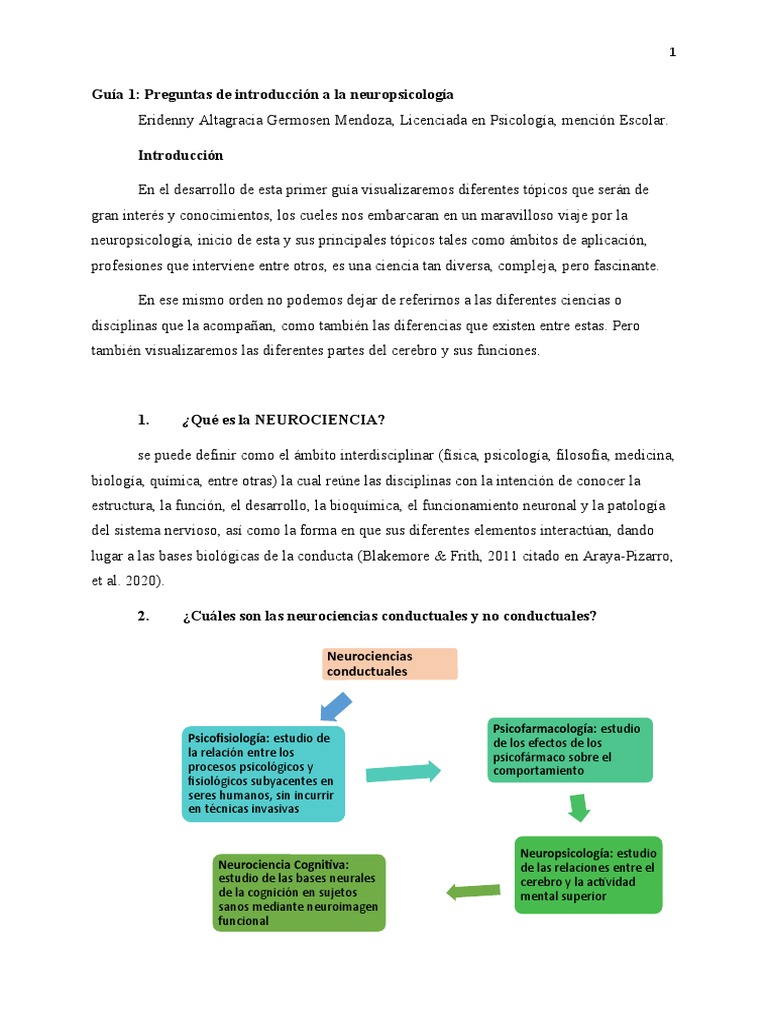 Traité De Neuropsychologie Clinique De L'adulte - Tome 1 : Évaluation By Various